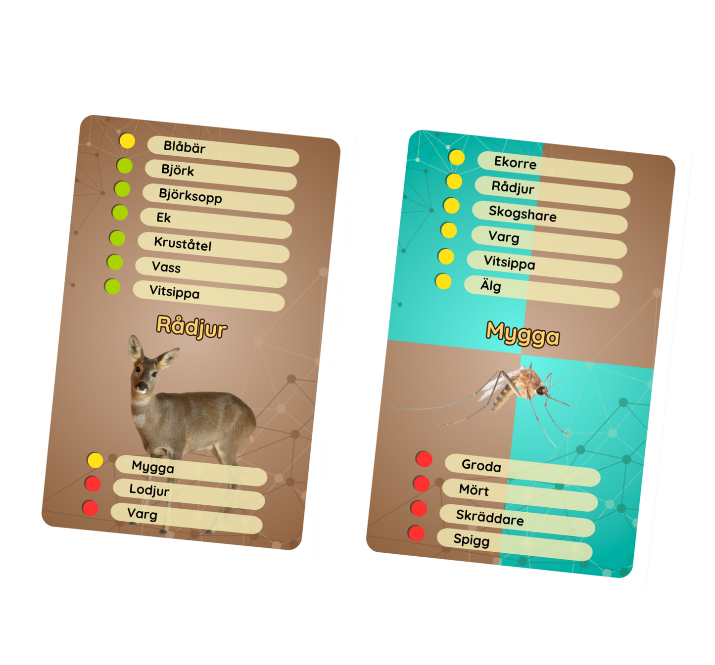 Lärarkit Ekosystemkoll (8 spel)