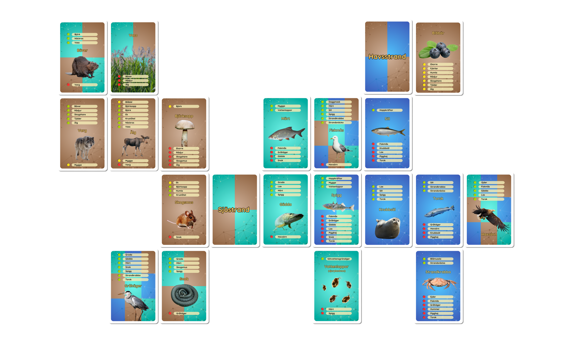 Ekosystemkoll spel om hur djur och natur samspelar