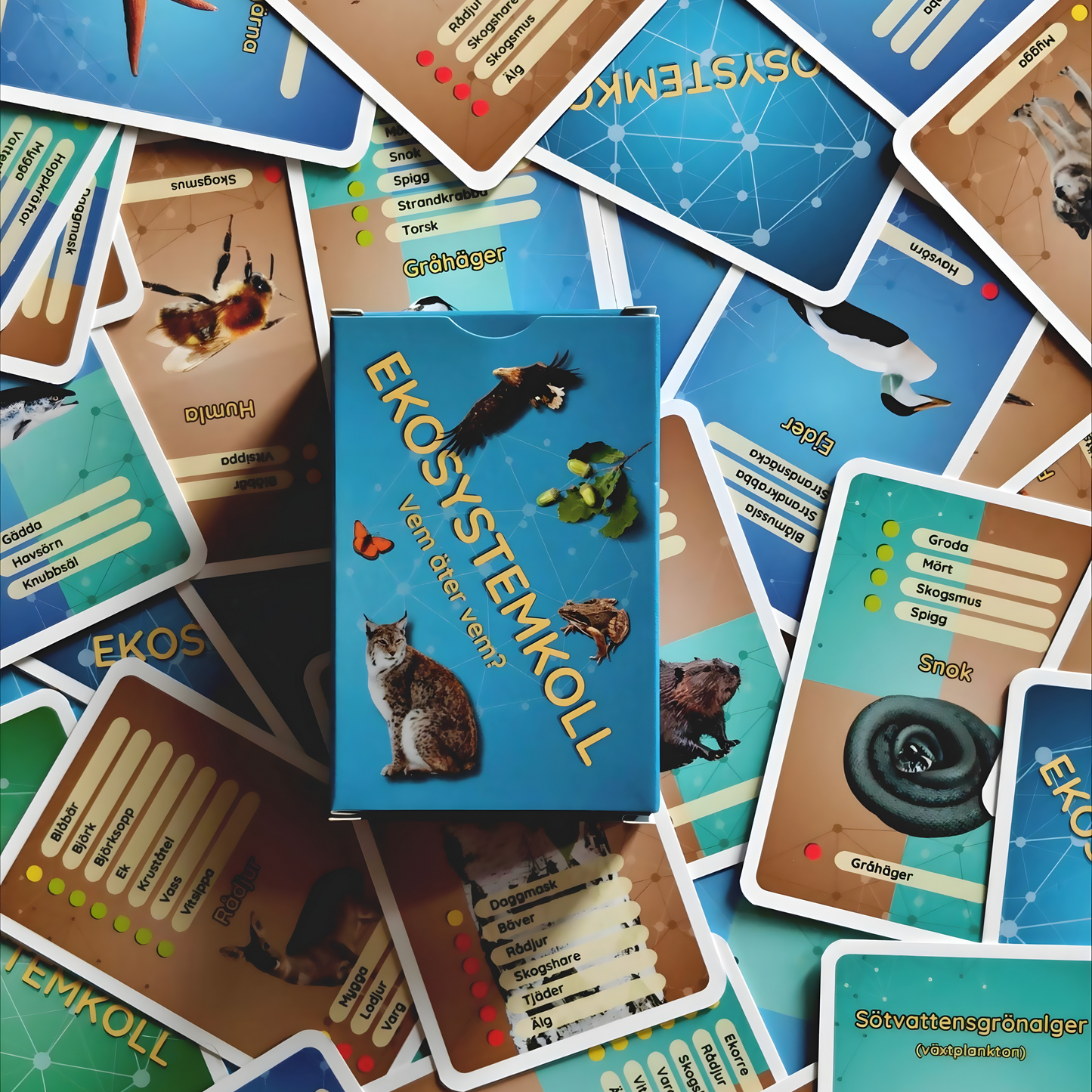 Ekosystemkoll spel om hur djur och natur samspelar
