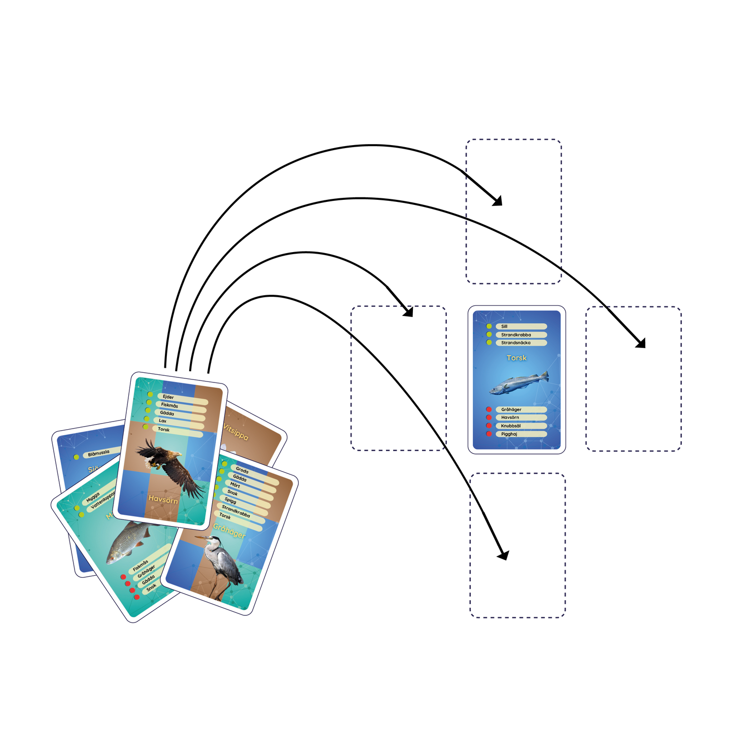 Lärarkit Ekosystemkoll (8 spel)